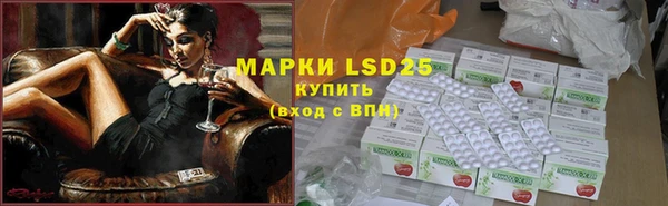 шишки Беломорск