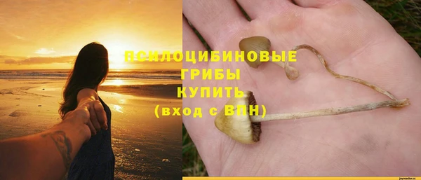 MDMA Белокуриха